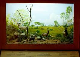 World In Miniature Berkshire Museum Museum Animals Of The World Animal Sculptures