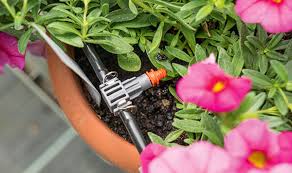 Welcher bewässerungscomputer ist für meinen garten ideal? Pflanzenbewasserung Die Besten Giesssysteme Fur Zimmer Und Balkon Stiftung Warentest