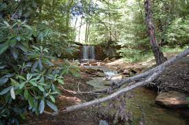 Cook forest state park, located in northwestern pennsylvania, is known for its large old growth forest and beautiful stretch of the clarion . The Waterfall Near Cook Forest Pa One Of My Favorite Places In The Whole World Forest County Places To See Waterfall