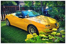 Image result for Beige Carva 1971 Alfa-Romeo