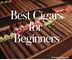 Top 10 Best Cigars For Beginners Cigars Cigars And Whiskey Mild Cigars