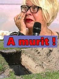 Cântăreața a postat pe pagina ei de socializare mai mult fotografii prin care le spune prietenilor dragi că prietena ei, o cătelușă de care era foarte atașată, a murit. Din Romania Mirabela Dauer Este In Doliu A Murit In Facebook