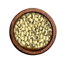 Image result for Vigna unguiculata