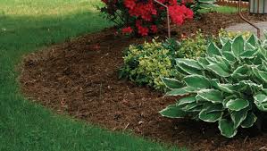 Mulch is a great tool to beautify your yard or garden while simultaneously making it easier to maintain. Use Mulch To Manage Your Soil Conditions Finegardening