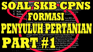 Soal soal skb cpns guru bimbingan dan konseling 2018 yang saya bagikan ini berformat file pdf. Soal Dan Pembahasan Guru Bk Skb Cpns Guru Bimbingan Dan Konseling Bk Youtube