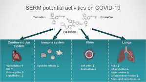 Image result for Selective Estrogen Receptor Modulator