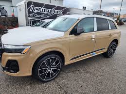Image result for Vicuna Beige 2020 Audi