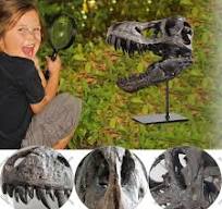 Amazon.com: pombconw T Rex Skull, Dinosaur Statue Resin ...