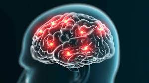 Neurons travel the neural pathway throughout the brain. How Adopting A Growth Mindset Can Boost Your Success Inc Com