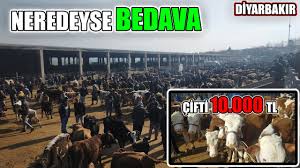hic bu kadar ucuz pazar gormemistim diyarbakir hayvan pazari bolum 2 youtube