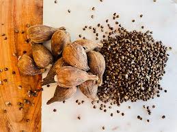 Image result for Aframomum corrorima