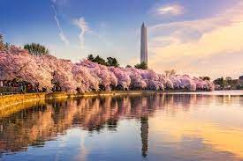 Get the latest breaking news and reports on washington dc, which is the capital and political center of the us. E7ey0q0nn9z7m
