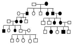 The Following Pedigree Shows The Presence Clutch Prep