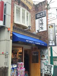 這次不寫攻略所以沒截到圖，就文字描述一下開路的條件，消息聽回來，配置自己實測的 開路條件為：c點、g點、o點各空優一次，i點、j點s勝，r點s勝，d點s勝、基地守家空優一次 流程以換最少陸航為準，p2打完陸航應該就是1隊東海+1隊4陸攻 先上地圖 j點s勝 ===== 最簡單的，緣用. ç«å«è¶ ç©ºé¸å®¶ ä¸åæ²¢åº å°å³ åç ä¸åæ²¢ ã«ãã§ ã¹ã¤ã¼ã å«è¶ãã®ä» ãããªã³