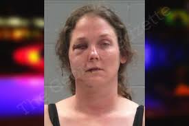 Tiffany Hooks — Baldwin County Jail Bookings