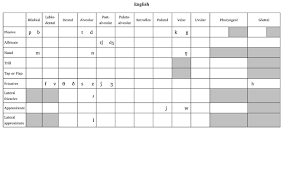 Three of these sounds are only found in words borrowed from other languages and one is very rare, which leaves only 16 true. Consonant Chart Ipa English Letter