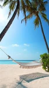 Start your search now and free your phone. Resort Hammocks Iphone6 Wallpapers Iphone Wallpapers