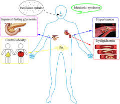 Sa hashim, ma amin, a nair, rar mokhtar, s krishnasamy, k cheng. Association Between Ambient Particulate Matter Exposure And Metabolic Syndrome Risk A Systematic Review And Meta Analysis Sciencedirect