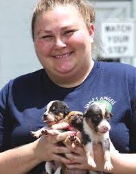 Brandi Crowley's Instagram, Twitter & Facebook