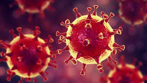 coronavirüs + çin ile ilgili görsel sonucu