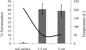 When grass seed germination is completed and the seed has sprouted, sufficient soil moisture is still necessary. Mean E 1 Sem Percentage Germination Of Fountain Grass Seeds Placed At Download Scientific Diagram