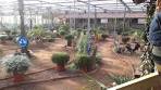 Dagje uit met werk bij de tuinderij in de Lier - YouTube