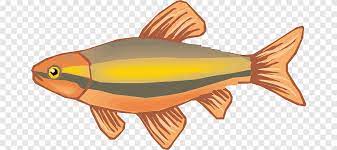 Gambar lauk ikan masin jika digandingkan dengan aneka ulam ulaman dan juga sambal belacan mak mertua lalu pun tak perasan. Ikan Menggambar Kartun Ikan Kartun Karakter Kartun Hewan Png Pngegg