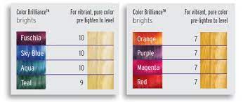 Start studying ion colour chart. Ion Color Brilliance Brights Ion Color Brilliance Brights Ion Color Brilliance Hair Color Chart