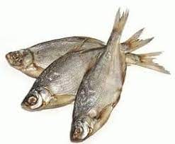 We did not find results for: Ikan Kering Untuk Dilihat Dalam Mimpi Mimpi Ikan Kering Apa