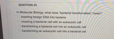 We did not find results for: Question 30 This Question Makes An Analogy Between Chegg Com