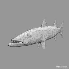 3d Model Realistic Barracuda Fish Character Modeling Barracuda Fish
