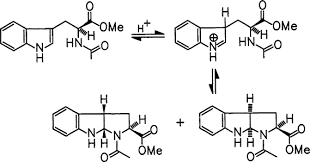 Image result for Strychnos matopensis