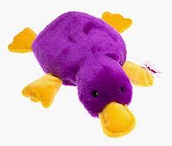 Amazon Com Ty Beanie Buddy Patti The Platypus Ty Original Beanie Buddy Toys Games