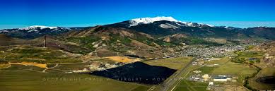 Image result for Harungana montana