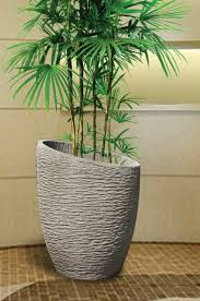 Plant pot deals & offers in the uk july 2021 get the best discounts, cheapest price for plant pot and save money your shopping community hotukdeals. Large Indoor Plant Pots Ideas On Foter