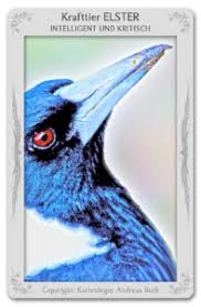 Krafttier Elster Bedeutung Eigenschaften Andreas Roth