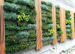Herb Walls In San Diego Herbs Are An Amazing Group Of Plants Both Ornamental And Edible They Can Add Beauty Sc Vertical Garden Diy Herb Wall Vertical Garden