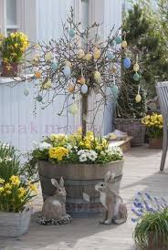 Holzfass Bepflanzt Mit Salix Caprea Pendula Kaetzchenweide Fruehling Auf Deck Weide Im Fass Primeln Bell Veranda Dekorieren Weinfass Garten Diy Ostern