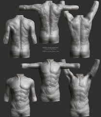 Check spelling or type a new query. Artstation Anatomy Study Muscles Motion Male Torso Olivier Cefai
