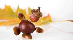 Wie gerne haben wir doch früher männchen, waldtiere und fantasiefiguren aus den früchten der bäume gebastelt. Herbstbasteln Was Kann Man Aus Kastanien Eicheln Co Basteln