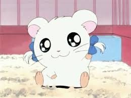 أغاني سبيستون والإنمي أرجوا أن تنال اعجابكم مع صور عشوائي عشوائي Amreading Books Wattpad Hamtaro Cute Cartoon Kawaii Cute