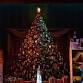 Screening: The Royal Ballet – The Nutcracker event image
