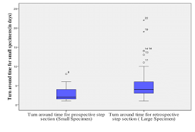 Box Plot Chart Comparing The Turnaround Times Between Small