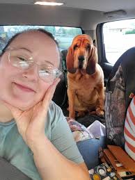 Mr Otis wishes you all a great day 💙🐾