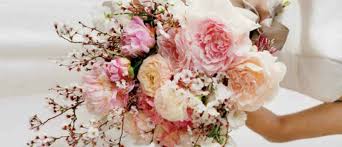 Maybe you would like to learn more about one of these? 7 Gorgeous In Season Wedding Flowers For The August Bride Wedded Wonderland