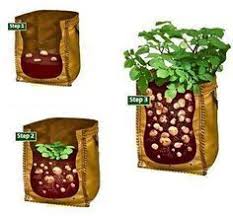 Epingle Sur Jardin