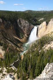 Lookout Point Lower Yellowstone Falls North Rim Of The Grand Canyon Of The Yellowstone River Yellowstone Trip Yellowstone Yellowstone National Park