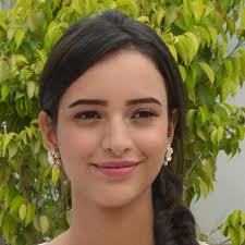 Watch Animal (2023) Full Movie Online