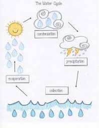 As the planet's temperature increases, the since your browser does not accept 3rd party cookies , the system does not work as expected and captcha will. Water Cycle Activities Classroom Freebies Water Cycle Activities Water Cycle Craft Water Cycle