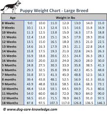 Puppy Weight Chart This Is How Big Your Dog Will Be Puppy